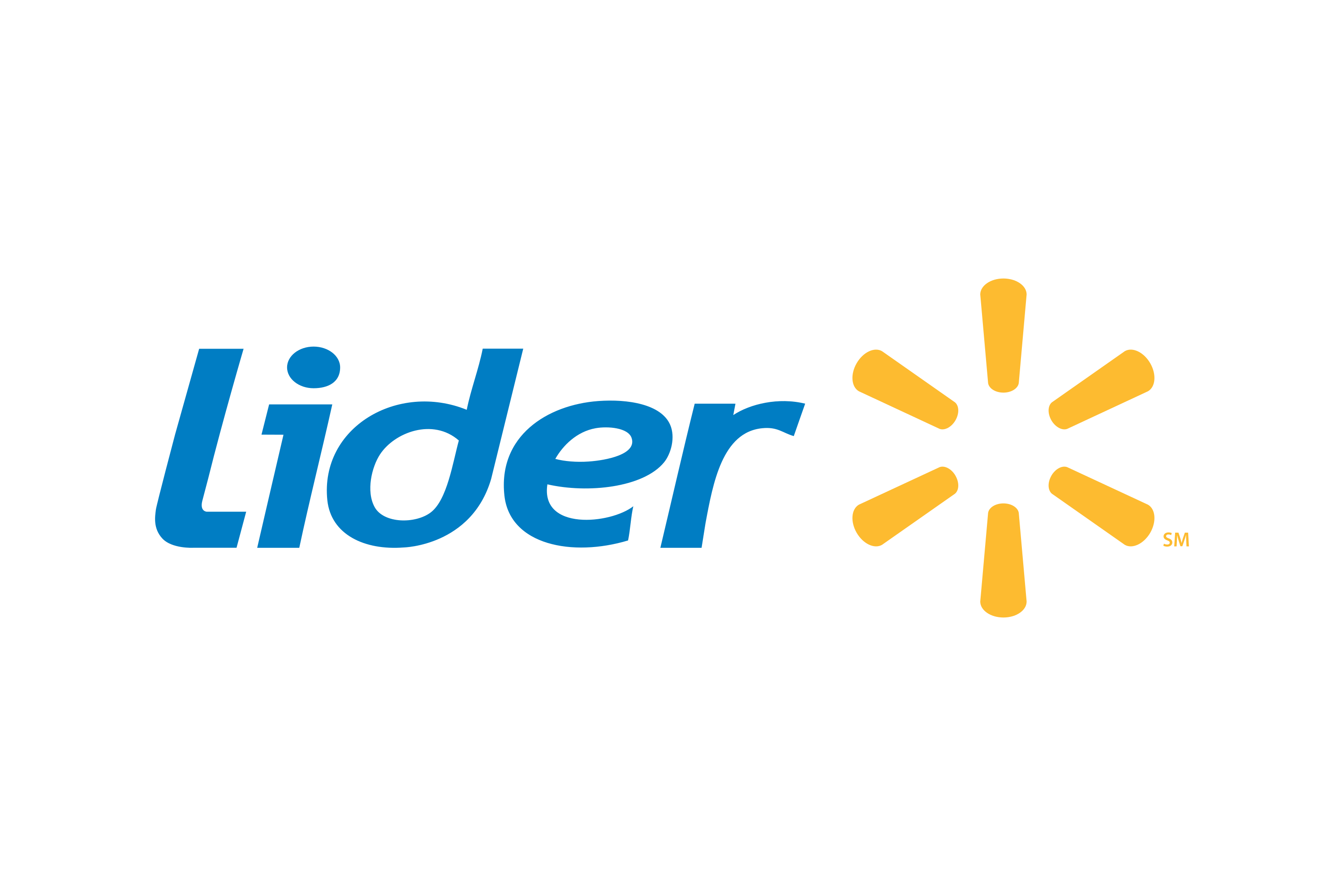 Lider Logo PNG