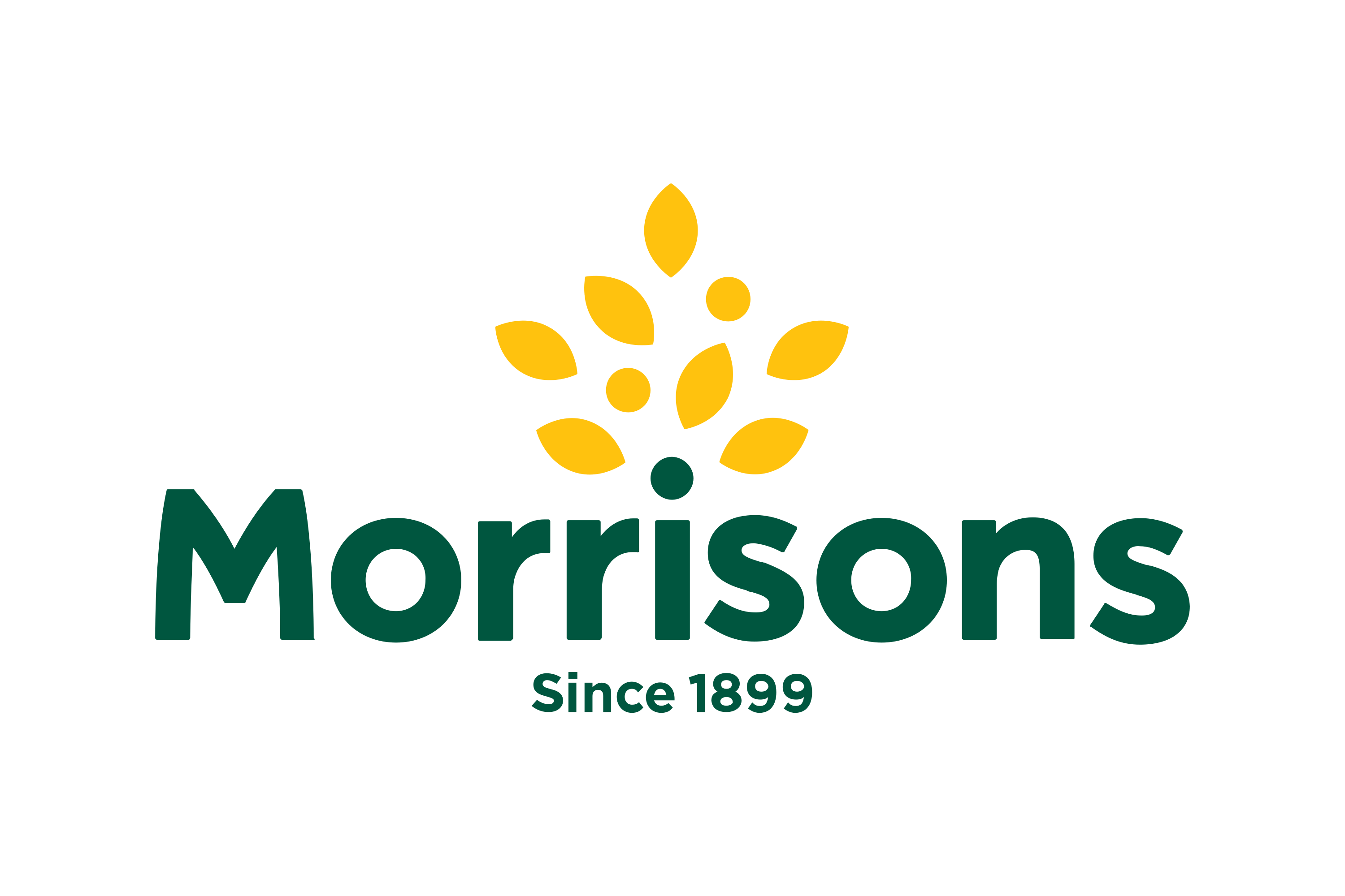 Morrisons Logo PNG