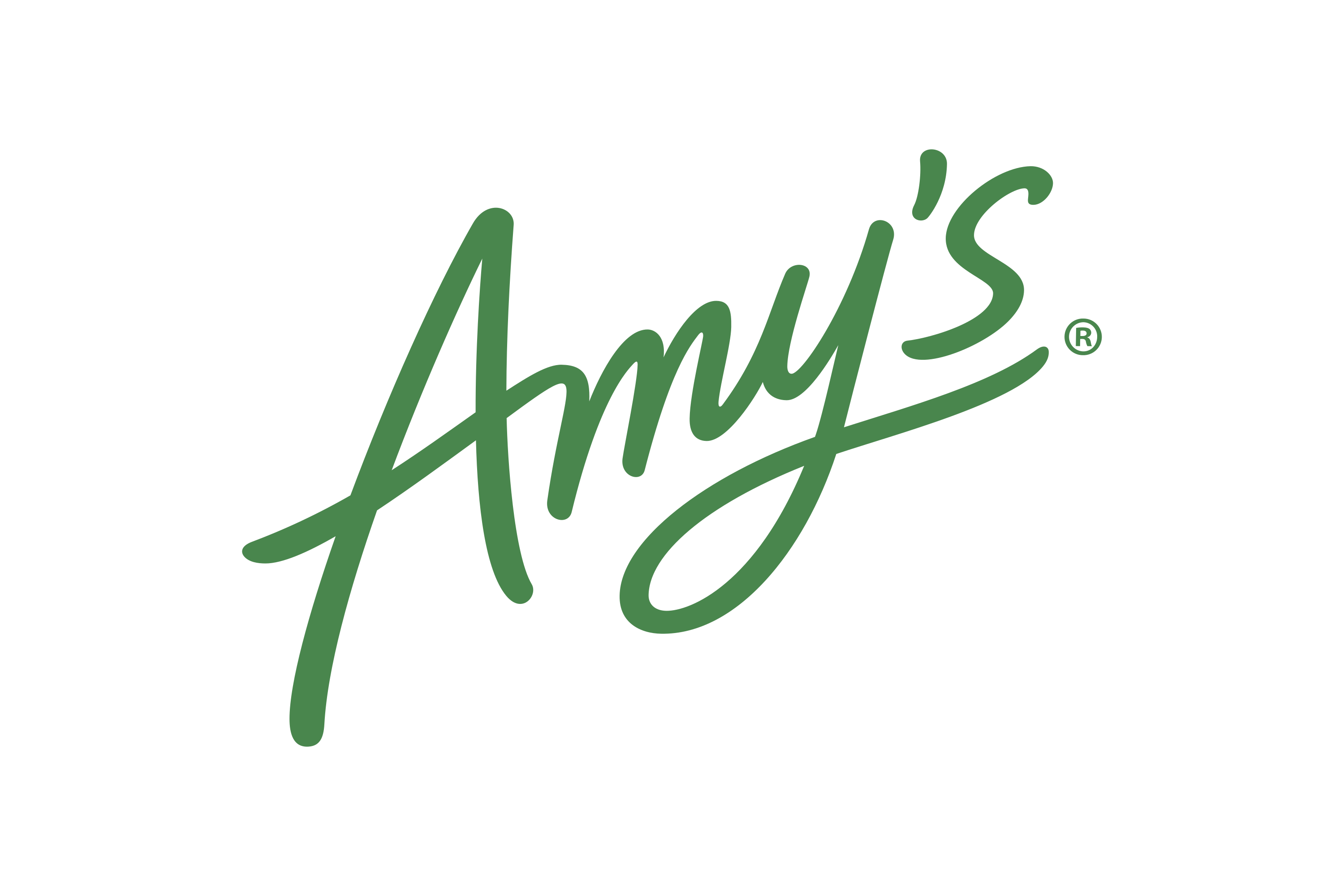 Amy's Kitchen Logo PNG