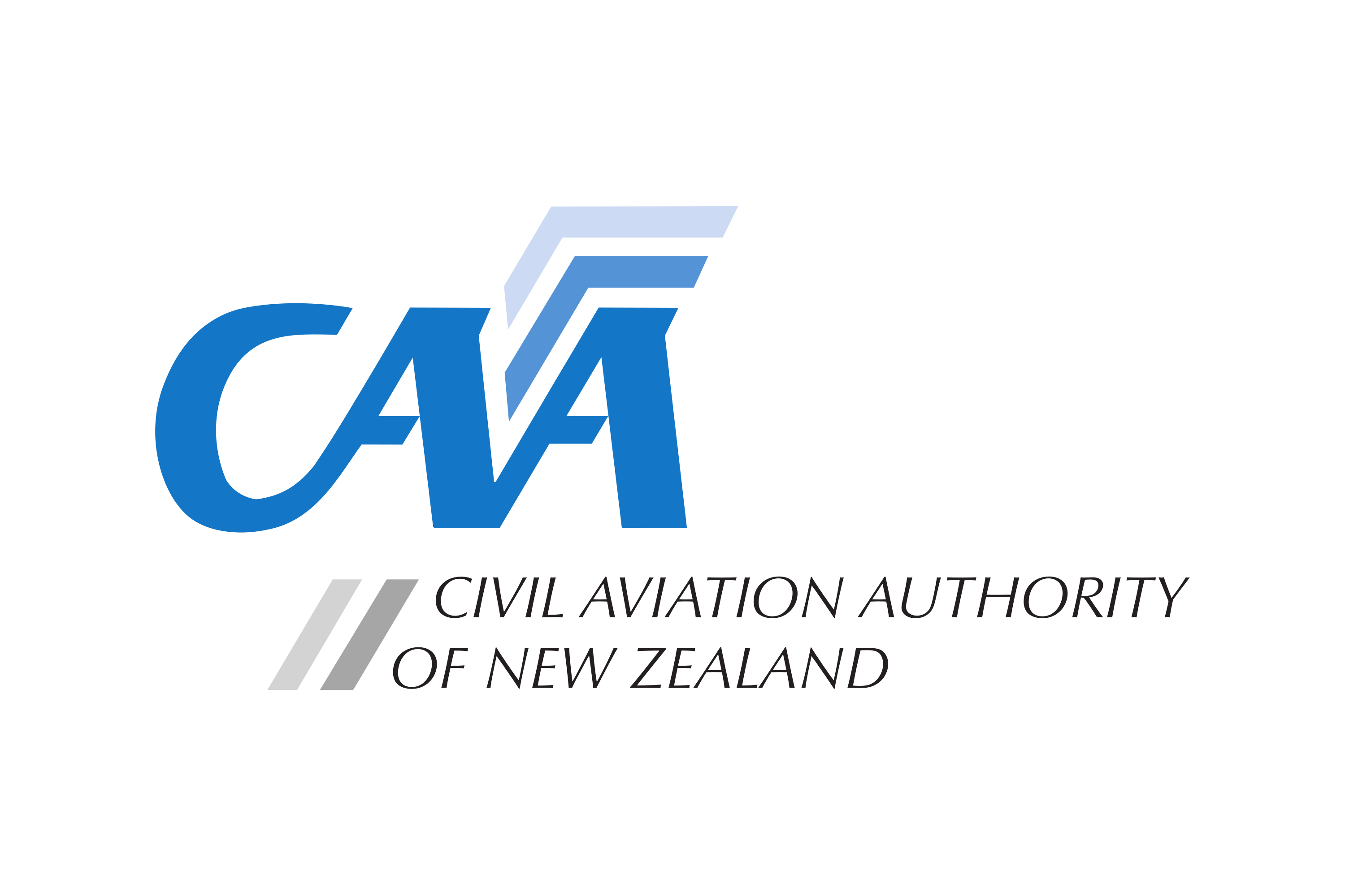 Civil Aviation Authority of New Zealand Logo PNG